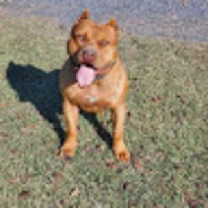 Meet your Posher, Joseph r